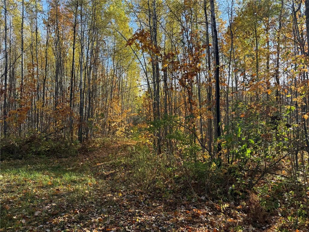 NA NA Skelton Twp MN 55707 6815244 image11