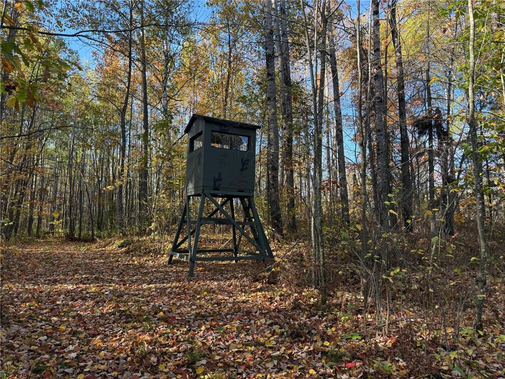 NA NA Skelton Twp MN 55707 6815244 image12