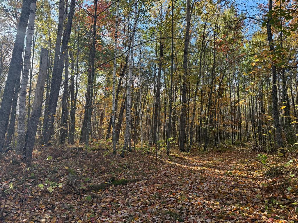 NA NA Skelton Twp MN 55707 6815244 image13