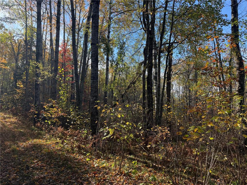 NA NA Skelton Twp MN 55707 6815244 image16