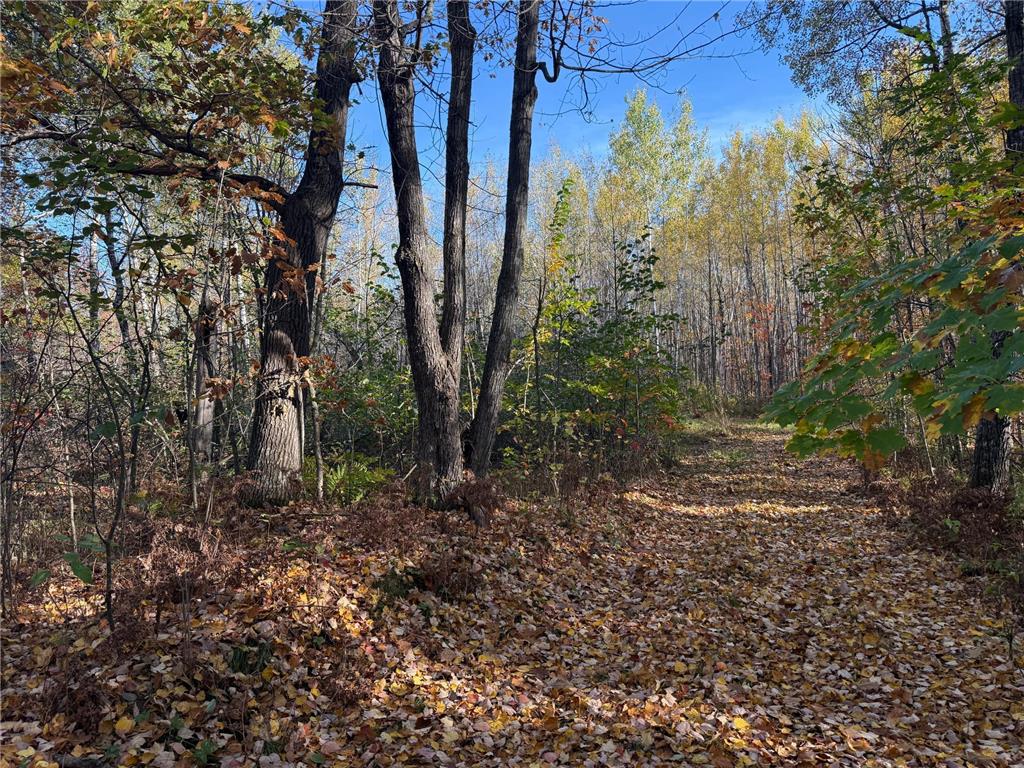 NA NA Skelton Twp MN 55707 6815244 image17