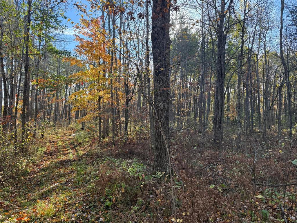 NA NA Skelton Twp MN 55707 6815244 image18