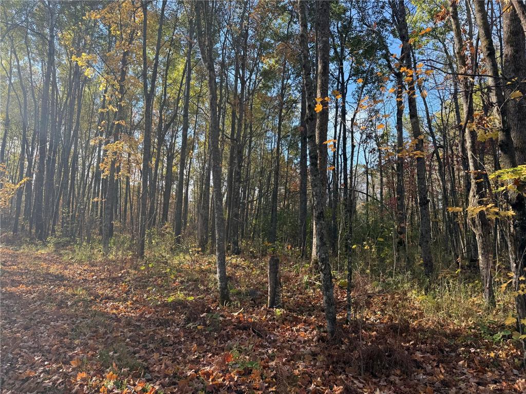 NA NA Skelton Twp MN 55707 6815244 image19