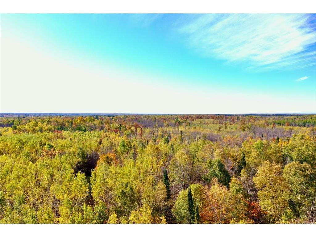 NA NA Skelton Twp MN 55707 6815244 image2