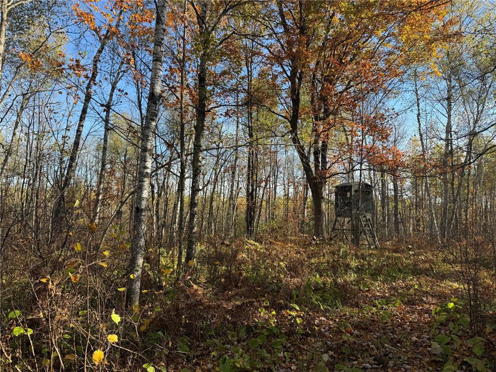 NA NA Skelton Twp MN 55707 6815244 image24