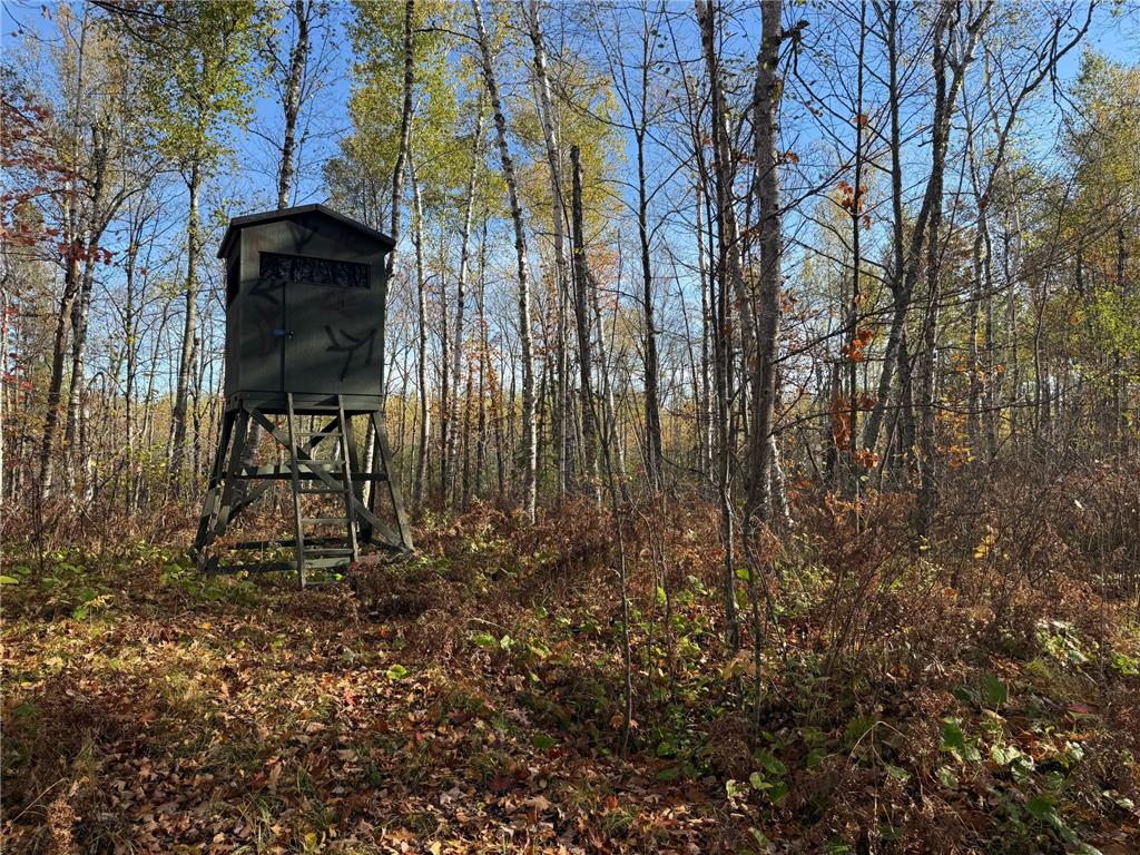 NA NA Skelton Twp MN 55707 6815244 image25