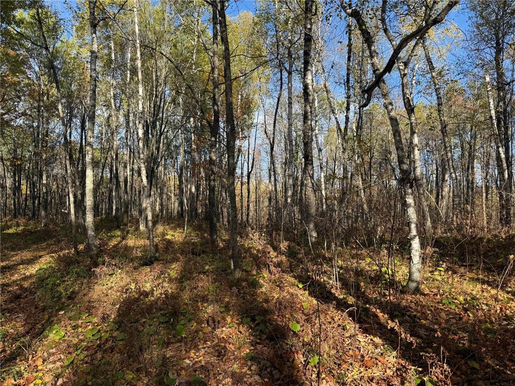 NA NA Skelton Twp MN 55707 6815244 image26