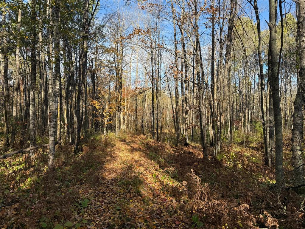 NA NA Skelton Twp MN 55707 6815244 image27