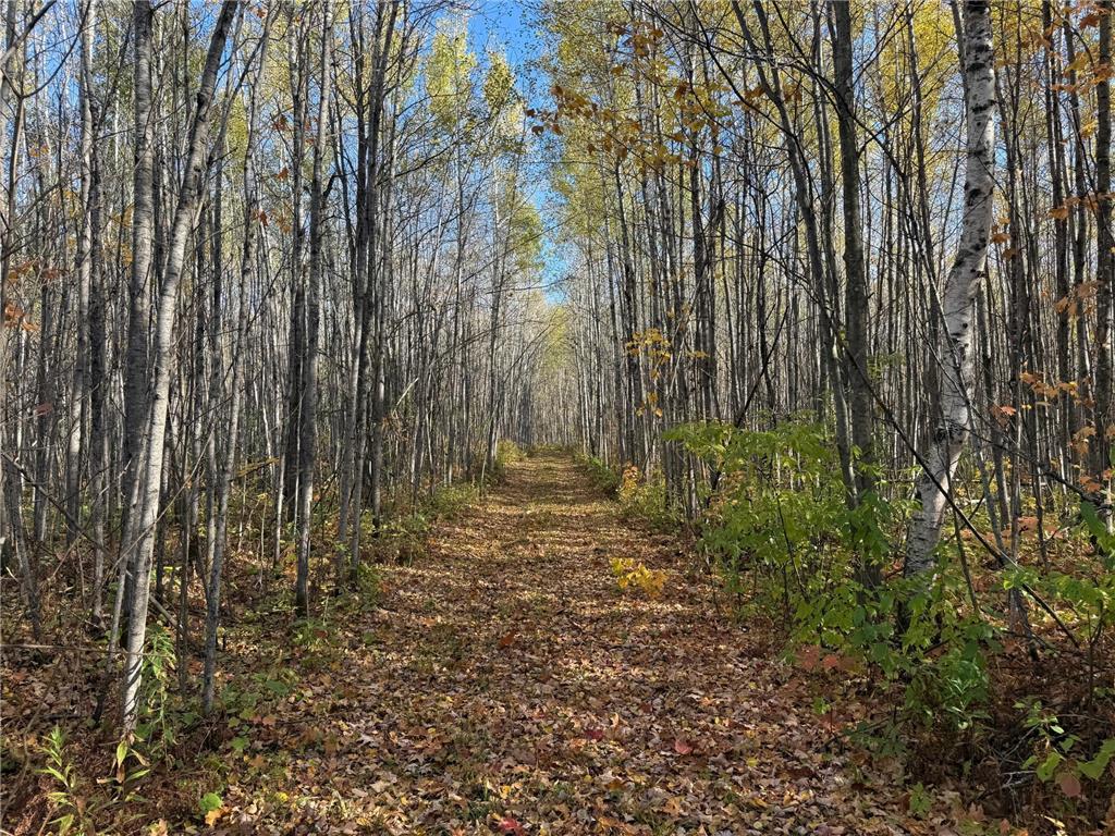 NA NA Skelton Twp MN 55707 6815244 image28