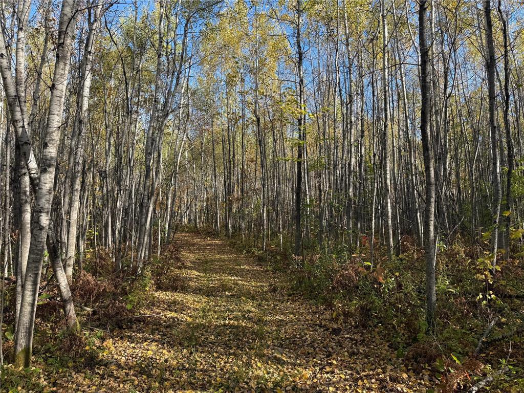 NA NA Skelton Twp MN 55707 6815244 image29