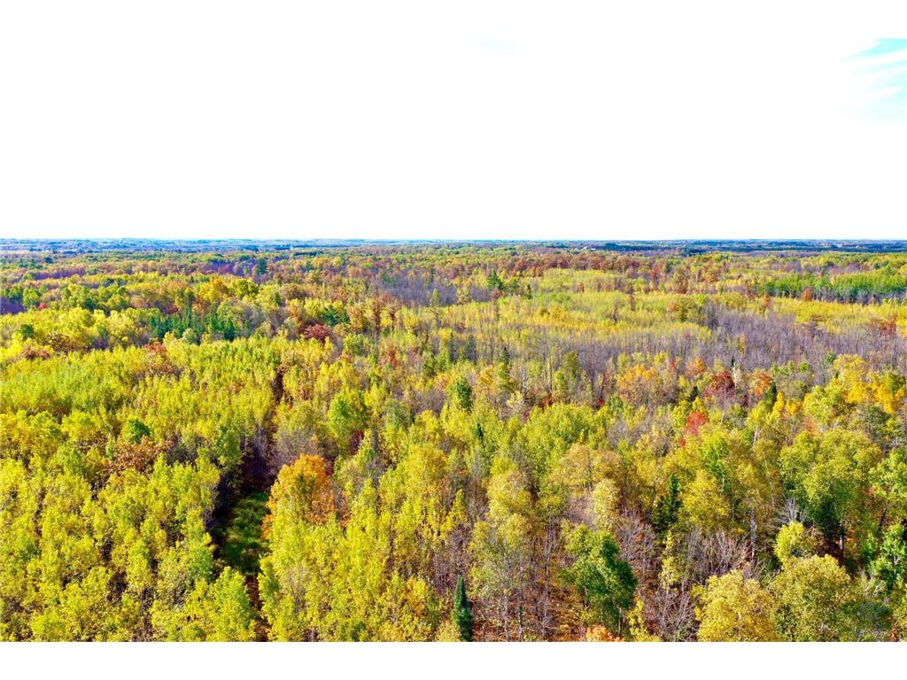 NA NA Skelton Twp MN 55707 6815244 image3