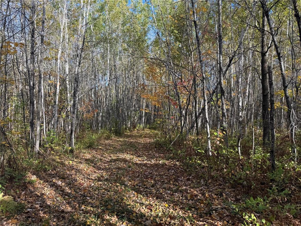 NA NA Skelton Twp MN 55707 6815244 image30