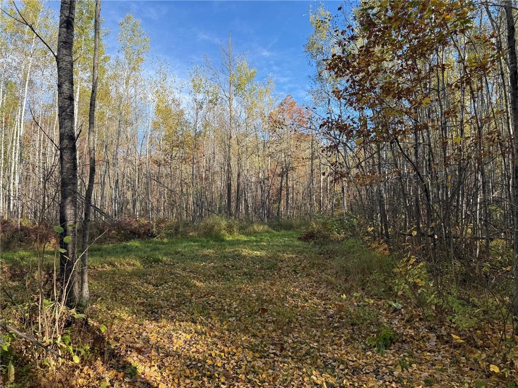 NA NA Skelton Twp MN 55707 6815244 image31