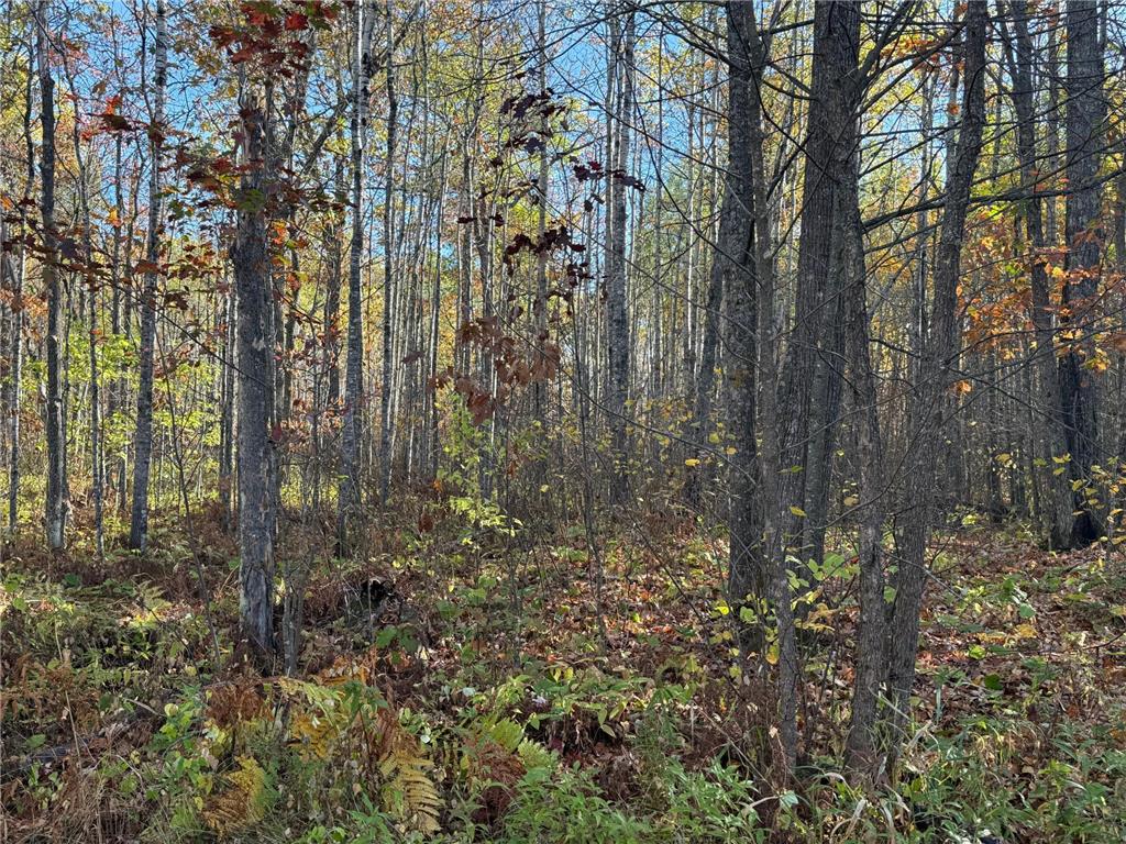 NA NA Skelton Twp MN 55707 6815244 image33