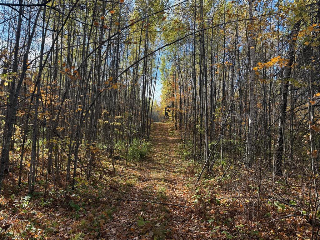 NA NA Skelton Twp MN 55707 6815244 image35