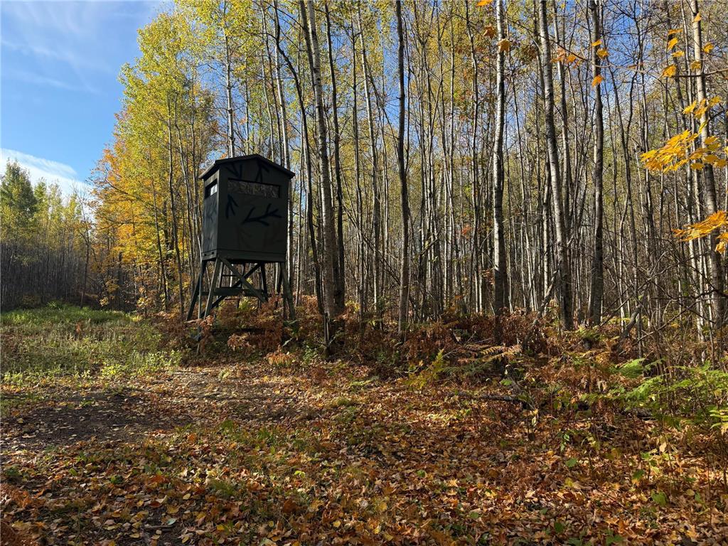 NA NA Skelton Twp MN 55707 6815244 image36