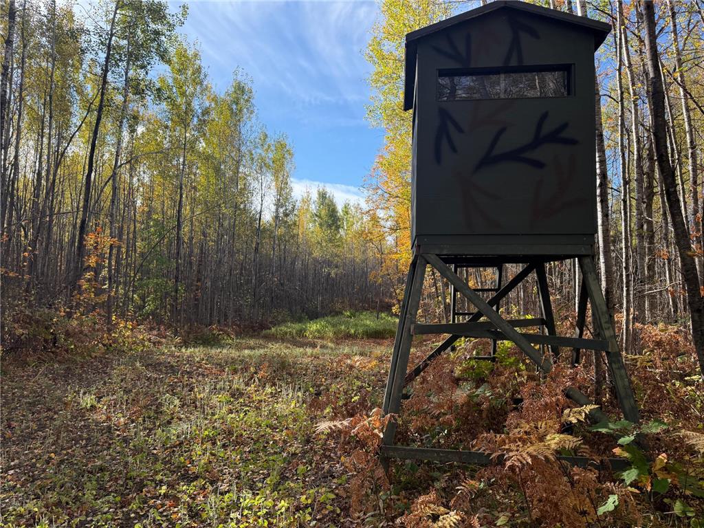 NA NA Skelton Twp MN 55707 6815244 image37