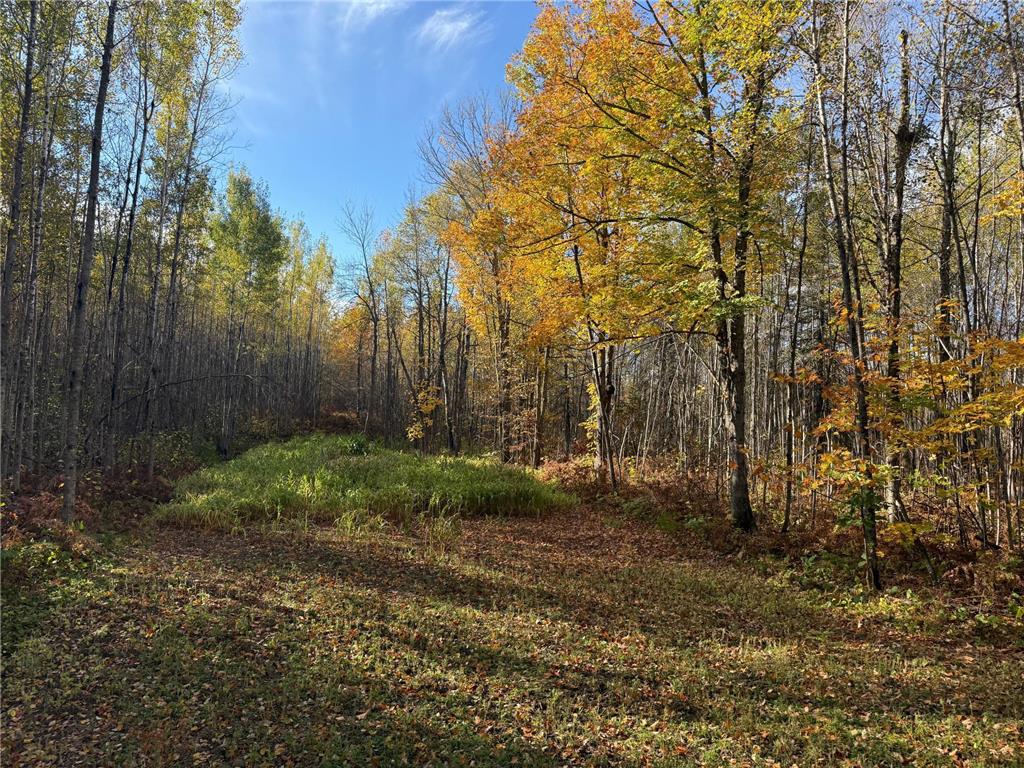 NA NA Skelton Twp MN 55707 6815244 image38