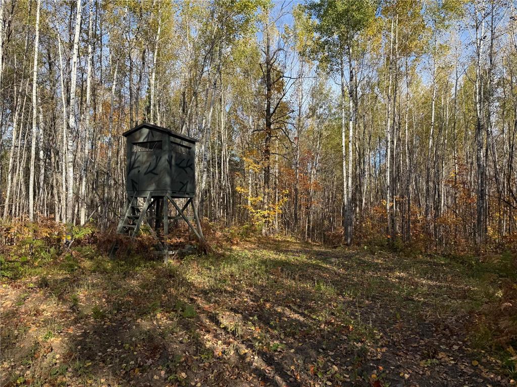 NA NA Skelton Twp MN 55707 6815244 image39