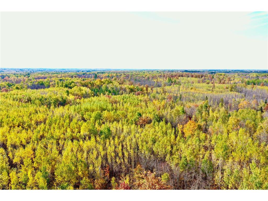 NA NA Skelton Twp MN 55707 6815244 image5