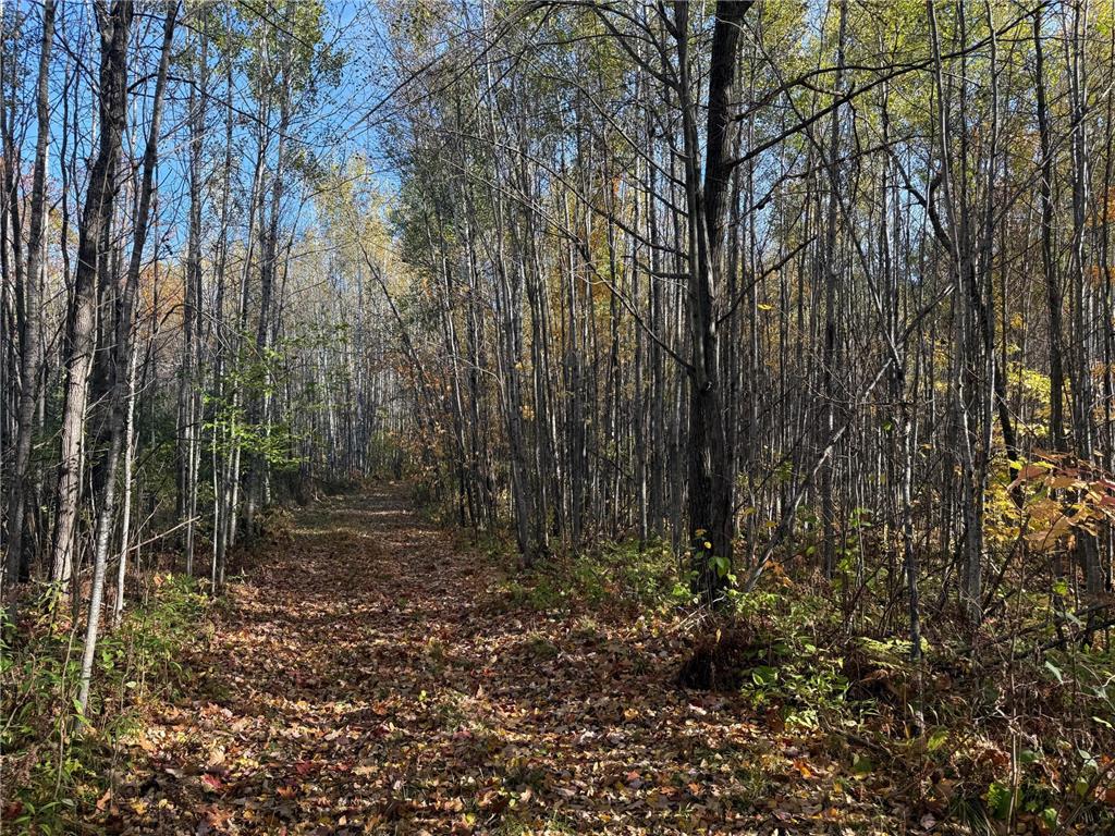 NA NA Skelton Twp MN 55707 6815244 image9