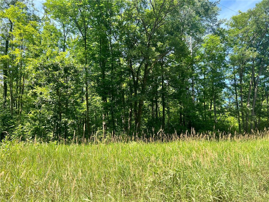 NA Olympic Street Ford Twp MN 56342 6415239 image1