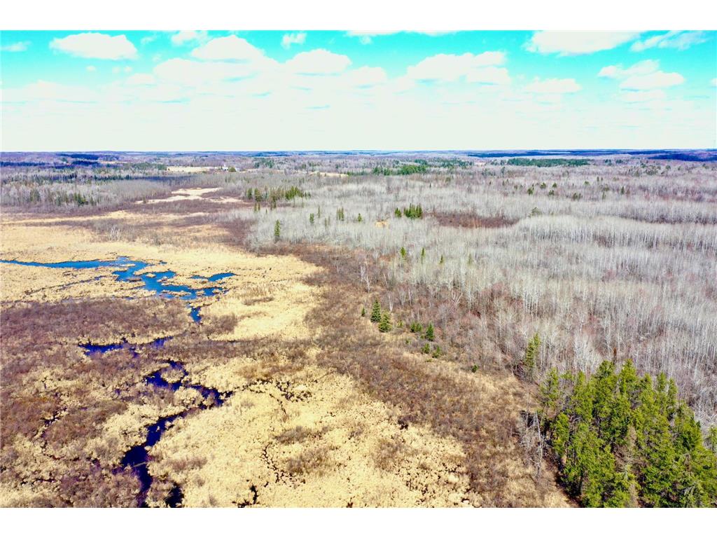 NA Partridge Creek rd Partridge Twp MN 55704 6531675 image1