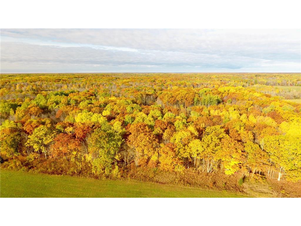 NA 370th AVe Street Kroschel Twp MN 55072 6403317 image1