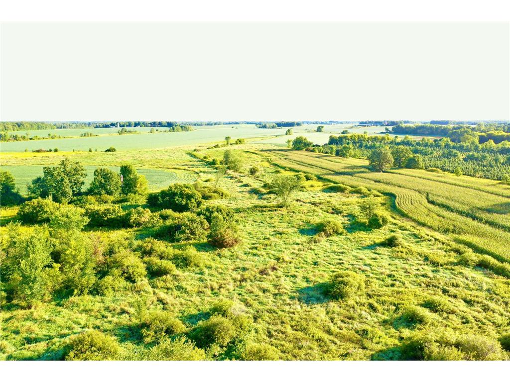 NAA 130th Ave South Fork Twp MN 56358 6778925 image1