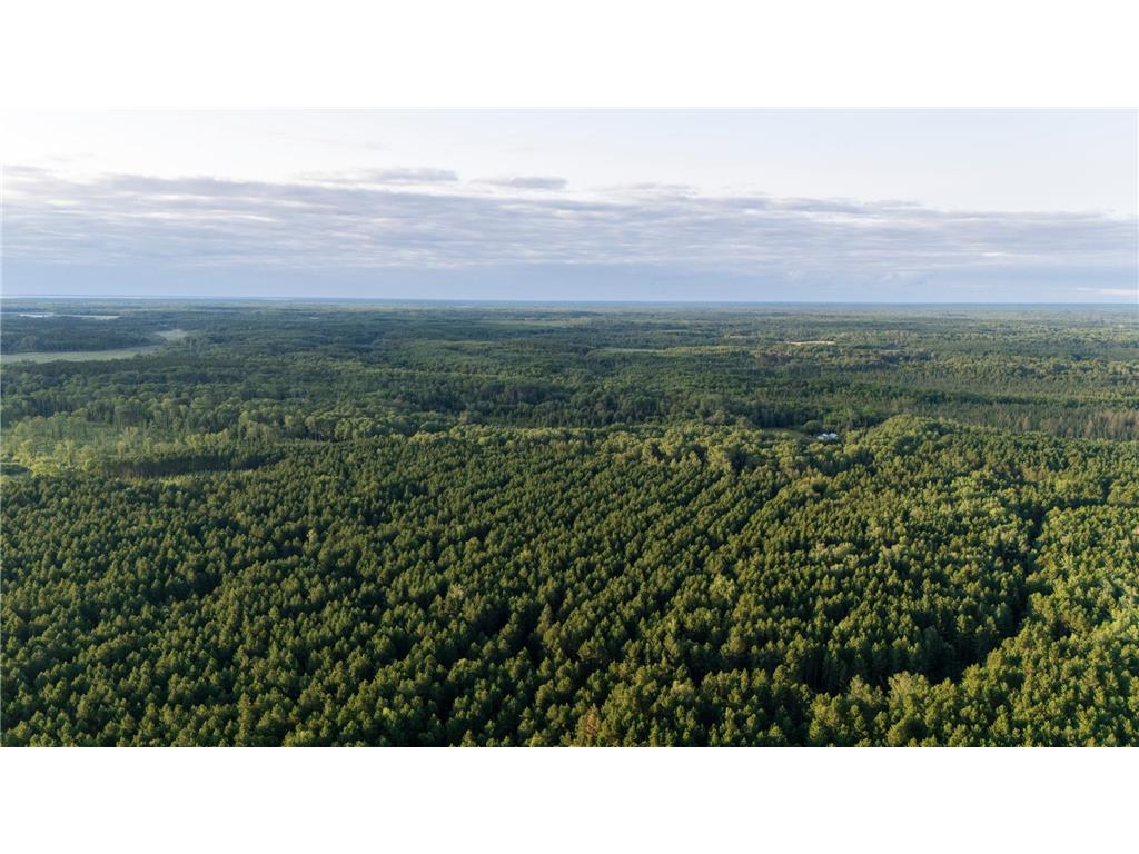 NESW Forest Road 3845 NE Moose Lake Twp MN 56663 7115231 image1