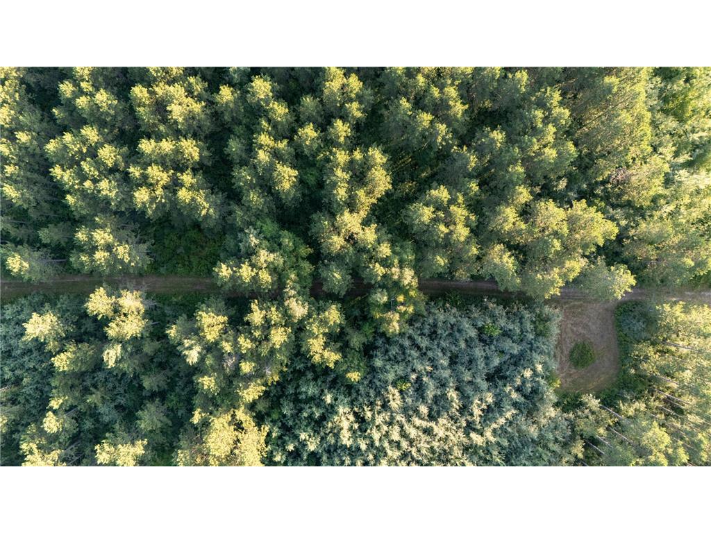 NESW Forest Road 3845 NE Moose Lake Twp MN 56663 7115231 image11