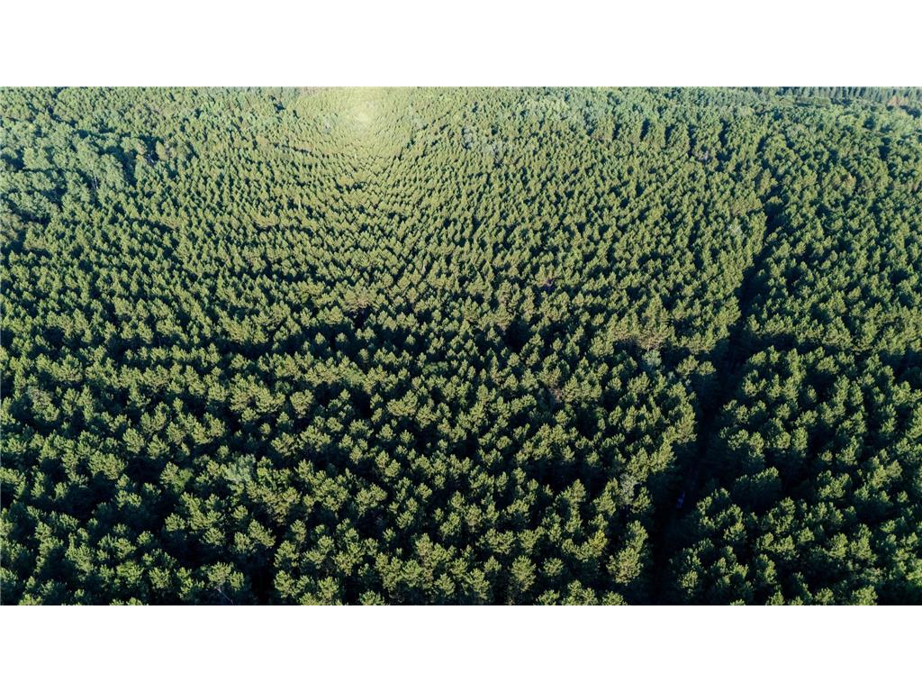 NESW Forest Road 3845 NE Moose Lake Twp MN 56663 7115231 image12
