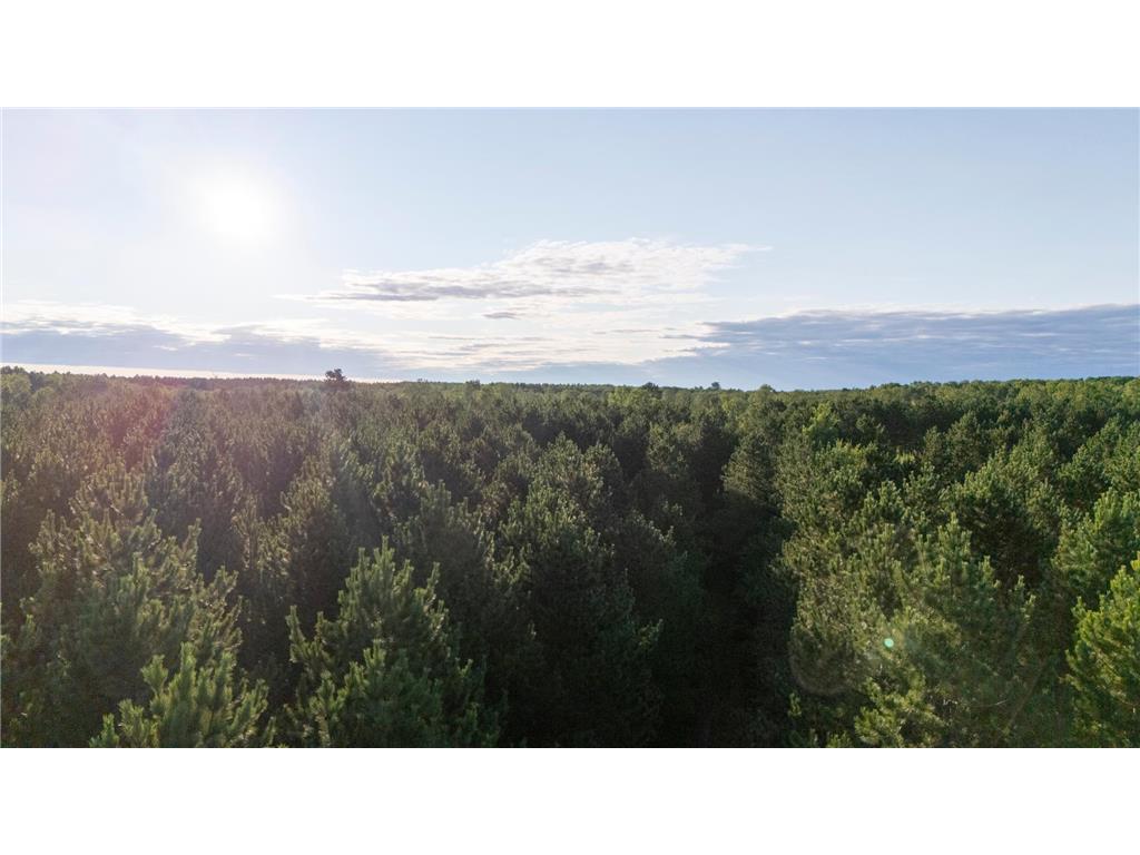 NESW Forest Road 3845 NE Moose Lake Twp MN 56663 7115231 image13