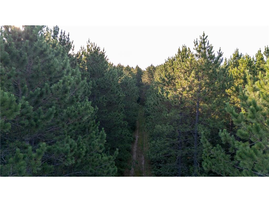 NESW Forest Road 3845 NE Moose Lake Twp MN 56663 7115231 image14