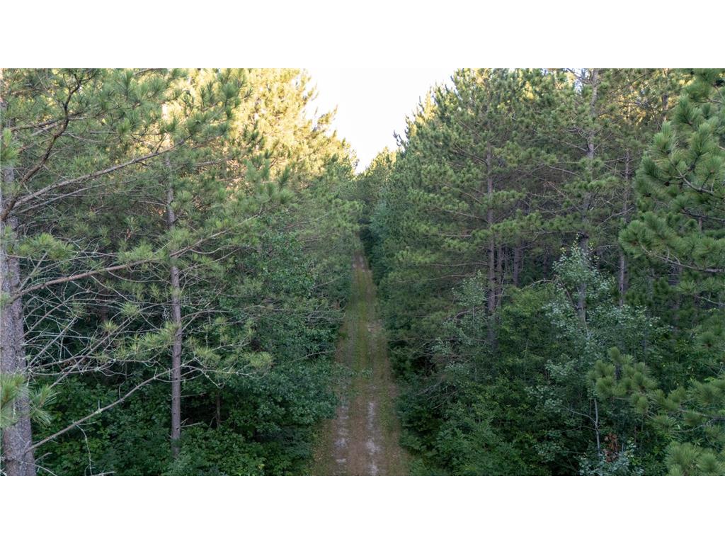 NESW Forest Road 3845 NE Moose Lake Twp MN 56663 7115231 image15