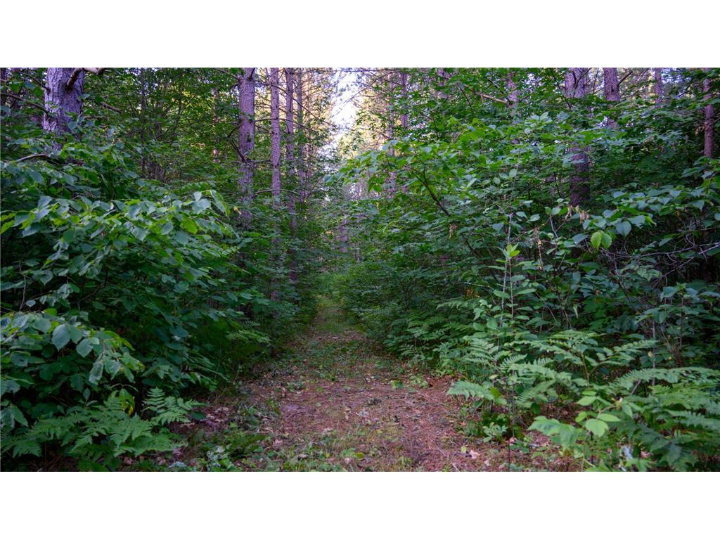 NESW Forest Road 3845 NE Moose Lake Twp MN 56663 7115231 image16