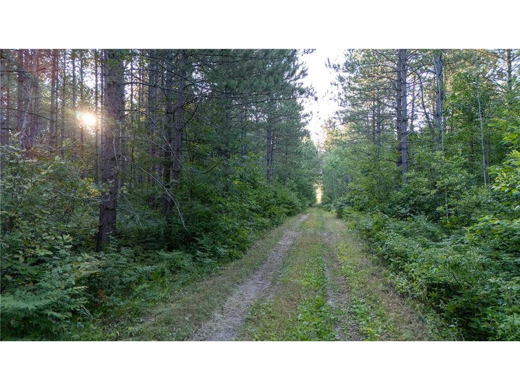 NESW Forest Road 3845 NE Moose Lake Twp MN 56663 7115231 image2