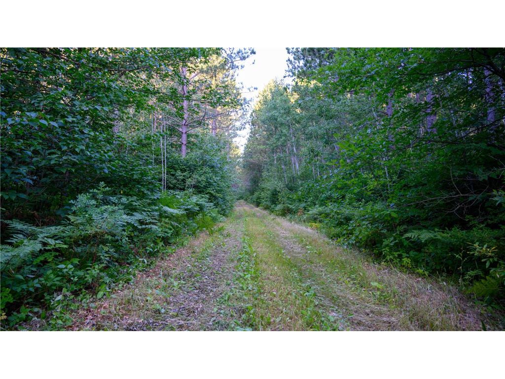NESW Forest Road 3845 NE Moose Lake Twp MN 56663 7115231 image5
