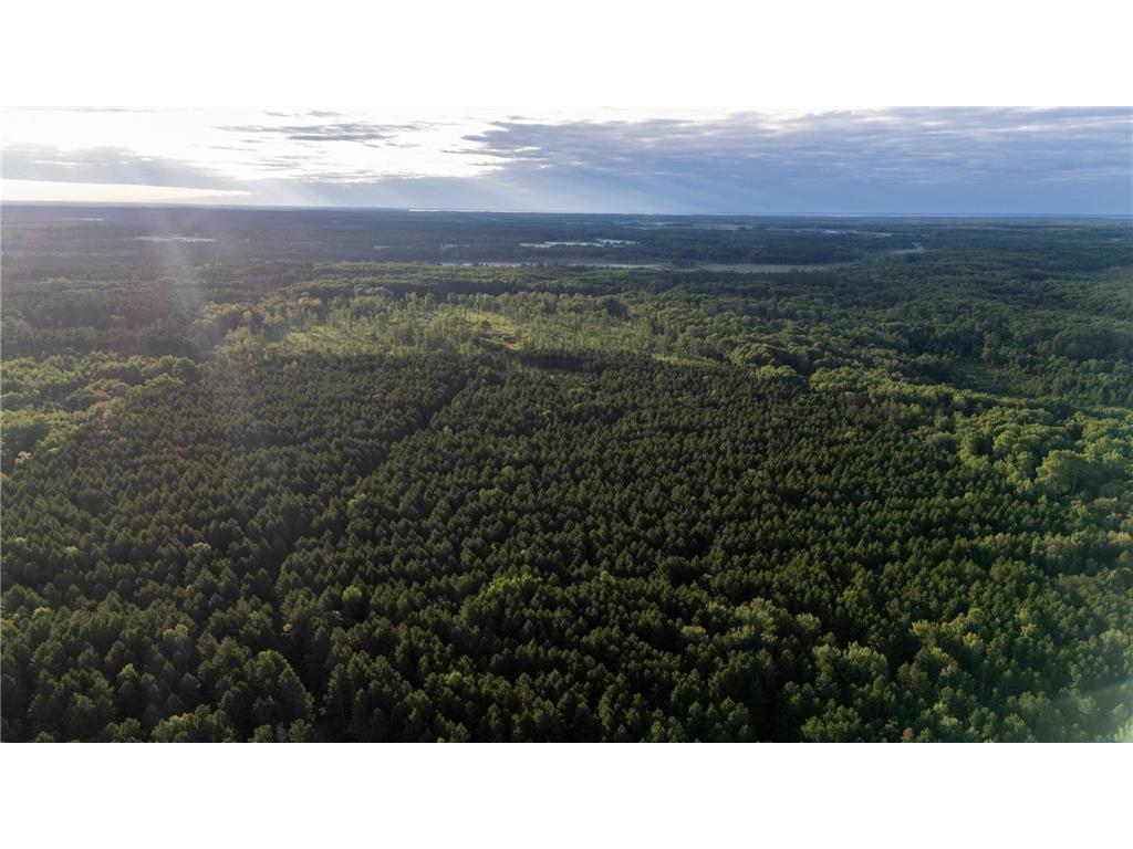 NESW Forest Road 3845 NE Moose Lake Twp MN 56663 7115231 image9