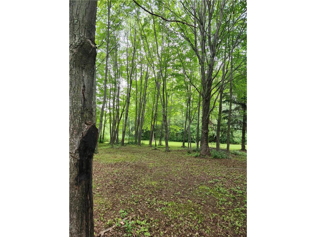 Null 1st Ave NW Pine City MN 55063 6758062 image13