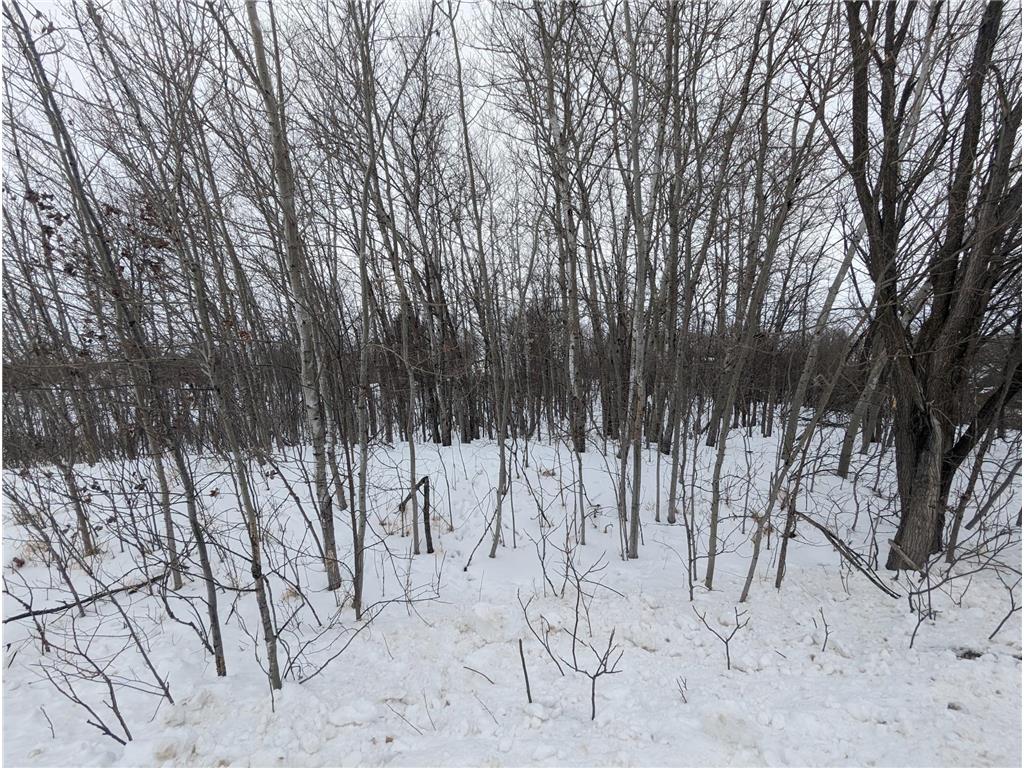 Null Circle Drive NW Ida Twp MN 56308 6337328 image1