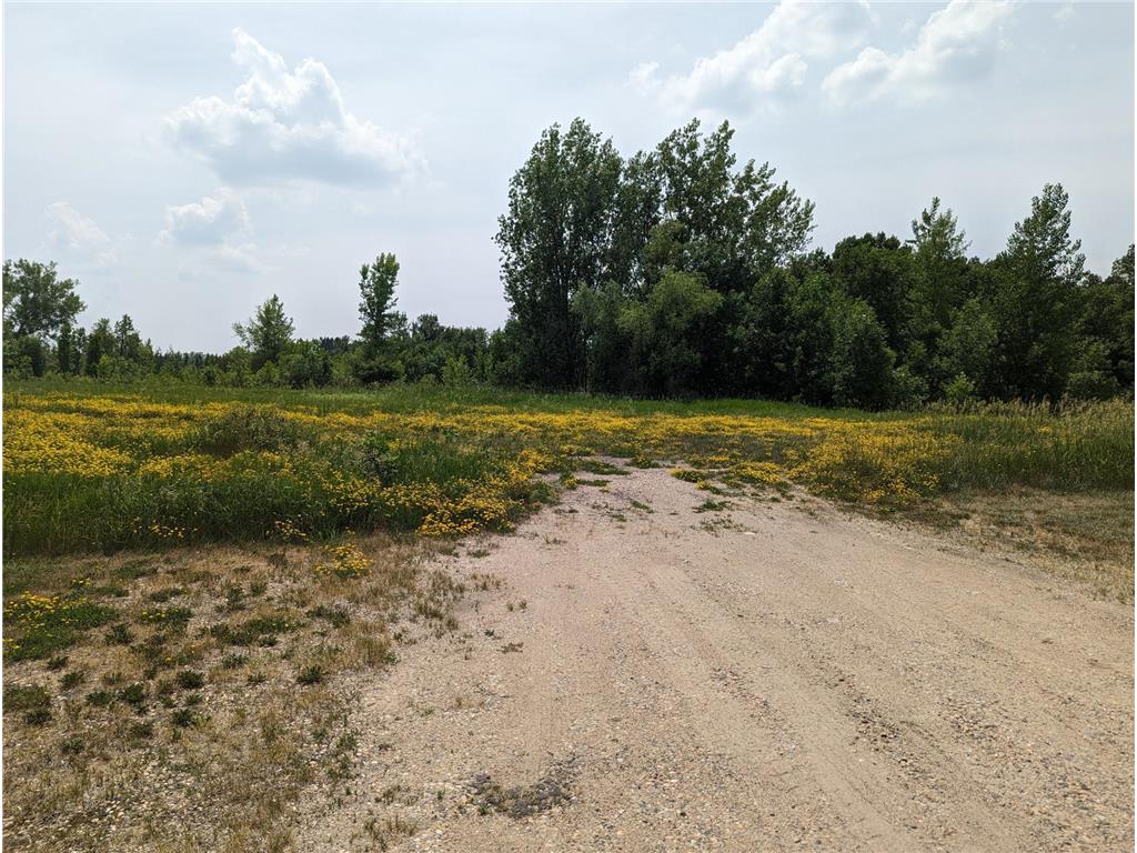 Null -Lot 1 Block 2 Geneva Golf Club Drive Alexandria MN 56308 6351948 image1