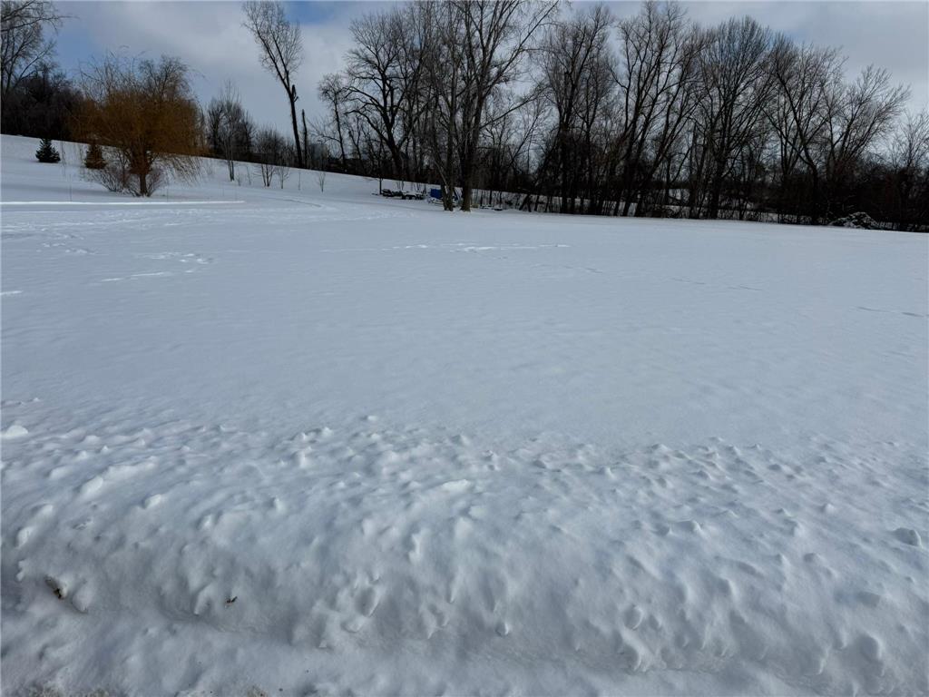 Open Lot Browers Street E Waterville MN 56096 6823437 image2