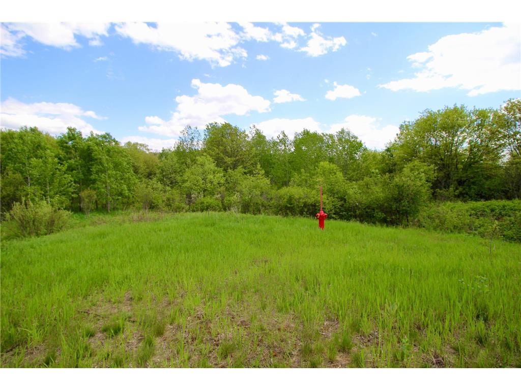 Outlot C Lake Forest Road Baxter MN 56425 6203324 image3