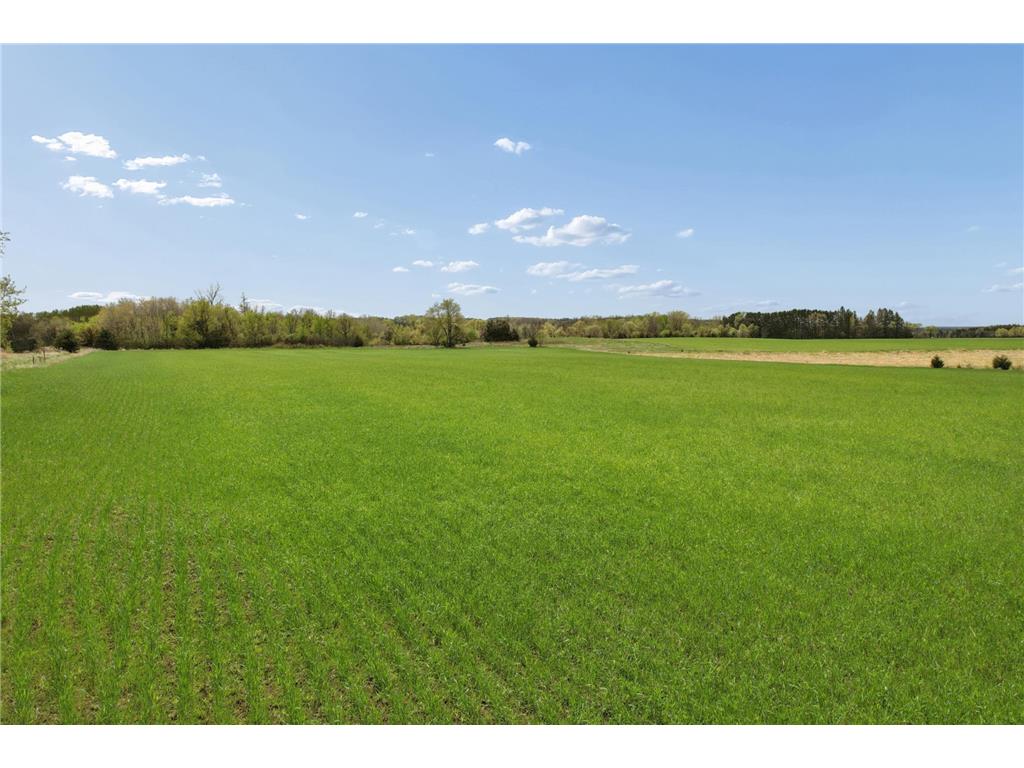 PART NW1/4 of SW1/4 ACRES located in Section 23 Jordan MN 55352 7057898 image13