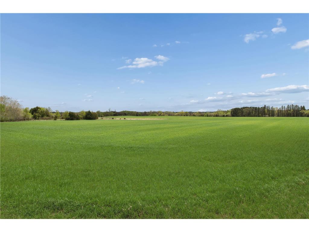 PART NW1/4 of SW1/4 ACRES located in Section 23 Jordan MN 55352 7057898 image7