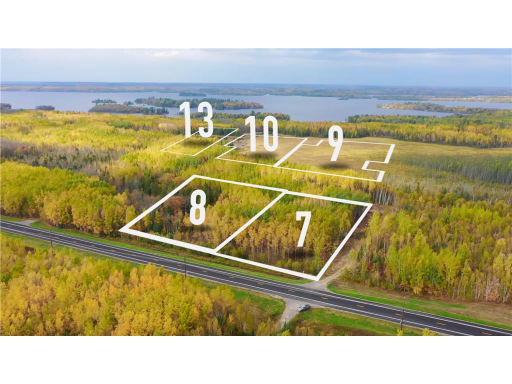 Parcel 10 TBD Hwy 115 Greenwood Twp MN 55790 6807710 image1