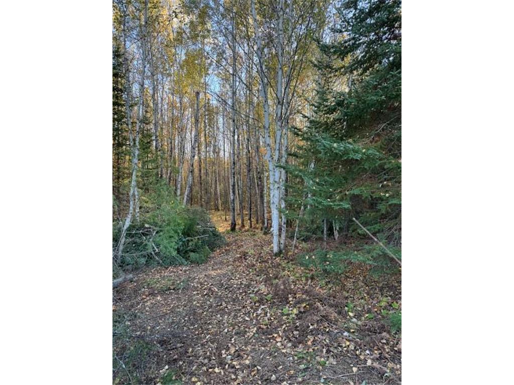 Parcel 13 TBD Hwy 115 Greenwood Twp MN 55790 6807713 image8