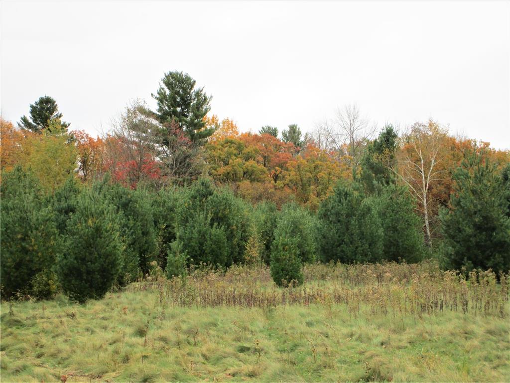 Parcel 2 90th Street Frederic WI 54837 6805889 image1