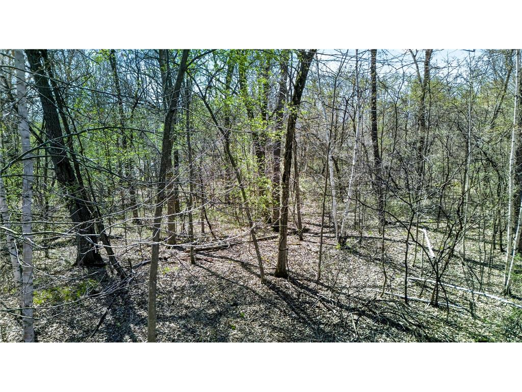 Parcel 2 Grand Avenue Harris MN 55032 7062659 image6
